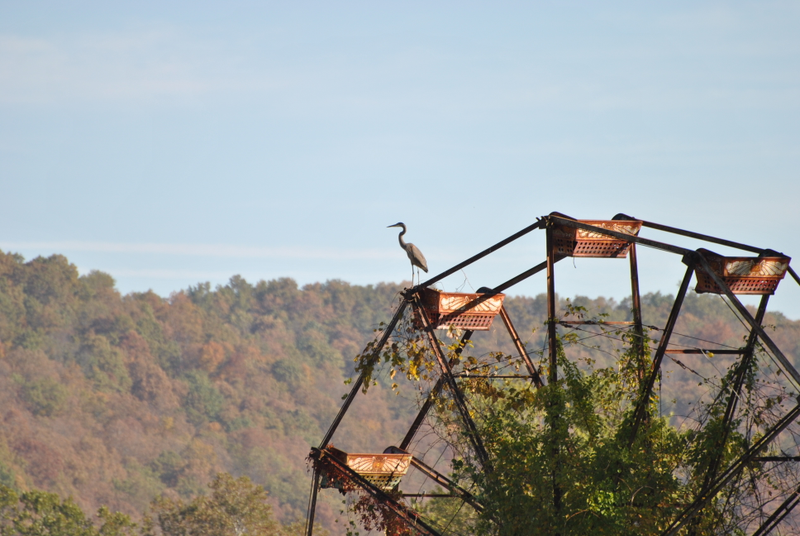 Illustration for article titled America's Creepiest Abandoned Amusement Park to Open for One Week Only